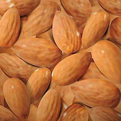 EPS 해외이미지 음식 백그라운드 과일 일러스트 재료 건조 건강 씨앗 목재 갈색 쌓기 견과류 신선 그룹 맛 큼 오브젝트 유기농 질감 알맹이 날것 아몬드 흙더미 내추럴 고립 정물화 채식주의자 많음 비건 맛있는 해외일러스트 나무 식물 웰빙 컬러 컨셉 모션 흙 크기 그림 채식 파일형식 벡터 더미 이미지허브