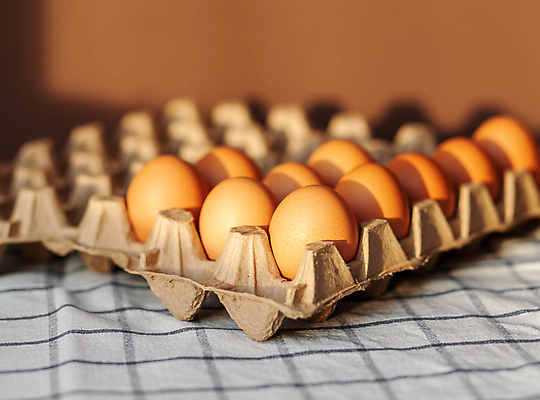 포토 JPG 해외이미지 실내 사람없음 아웃포커스 계란 식탁보 계란판 해외포토 촬영기법 내부 알 파일형식 이미지허브