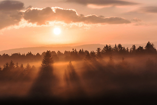 포토 JPG 해외이미지 주간 나무 사람없음 야외 일몰 해외포토 자연요소 식물 노을 파일형식 이미지허브