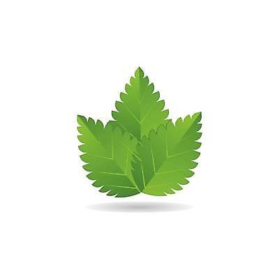 EPS 해외이미지 식물 디자인 실루엣 음식 백그라운드 잎 일러스트 재료 자연 추상 건강 초록색 세트 약 흰색 신선 플랫 맛 민트 허브 심볼 향신료 오브젝트 사인 에코 유기농 향기 아로마 내추럴 고립 엘리먼트 잇몸 평야 현실 스피아민트 해외일러스트 웰빙 컬러 컨셉 무늬 신체 의학 촬영기법 환경 생태계 냄새 향미료 파일형식 벡터 양념 이미지허브