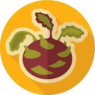 EPS 해외이미지 디자인 음식 다이어트 채소 일러스트 재료 건강 초록색 신선 플랫 심볼 사인 에코 유기농 복고 양배추 비타민 내추럴 고립 채식주의자 콜라비 비건 해외일러스트 웰빙 컬러 환경 채식 영양소 파일형식 벡터 이미지허브