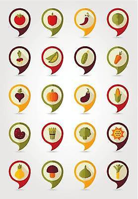 EPS 해외이미지 지도 농업 토마토 채소 일러스트 고추 가지 양파 해바라기 오이 감자 마늘 옥수수 버섯 당근 플랫 브로콜리 완두콩 양배추 아스파라거스 위치 후추 네비게이션 비트 총각무 충고 해외일러스트 꽃 산업 콩 곡류 뿌리채소 무 향신료 파일형식 벡터 이미지허브