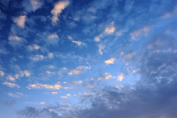 포토 JPG 해외이미지 계절 실루엣 모래 파도 바다 분홍색 섬 여행 자연 벽지 하늘 아침 휴가 휴식 사람없음 목재 빨간색 초록색 물 빛 햇빛 태양 여행객 일출 맑음 일몰 새벽 꿈 나뭇가지 저녁 큼 내추럴 이국적 파라다이스 수평선 해외포토 주간 자연요소 나무 컬러 컨셉 재료 날씨 촬영기법 사람 노을 야간 크기 생태계 파일형식 이미지허브
