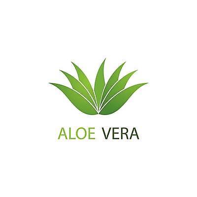 EPS 해외이미지 식물 디자인 꽃 실루엣 백그라운드 컨셉 잎 일러스트 자연 추상 선인장 건강 그래픽 초록색 약 라벨 상점 스파 화장품 신선 약초 허브 심볼 피부 사인 유기농 내추럴 고립 돌봄 알로에 엘리먼트 추출 스타일 해외일러스트 웰빙 컬러 무늬 의학 모션 프레임 촬영기법 신체부위 뷰티 풀_식물 생태계 파일형식 벡터 이미지허브