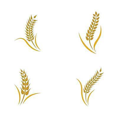 EPS 해외이미지 식물 디자인 배너 음식 빵 백그라운드 농업 다이어트 일러스트 자연 밥 건조 건강 옥수수 씨앗 농작물 농장 노란색 라벨 수확 성장 신선 시장 황금 상품 낟알 시리얼 밀 먹기 심볼 사인 유기농 보리 밀가루 스파이크 내추럴 고립 밭일 엘리먼트 귀리 해외일러스트 웰빙 산업 컬러 모션 곡류 프레임 가루 생태계 파일형식 벡터 이미지허브
