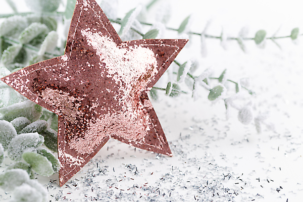 포토 JPG 해외이미지 별 크리스마스장식 겨울 실내 사람없음 하이앵글 오브젝트 흰배경 별모형 유칼립투스 해외포토 자연요소 식물 계절 뷰포인트 백그라운드 크리스마스 내부 모형 흰색 파일형식 이미지허브