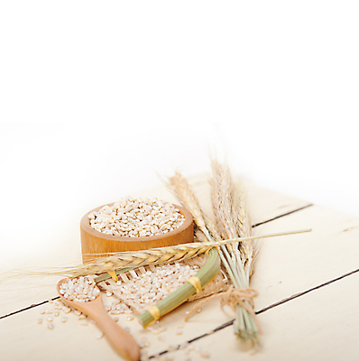 포토 JPG 해외이미지 근접촬영 사람없음 농작물 낟알 보리 보리이삭 해외포토 뷰포인트 농업 곡류 이삭 파일형식 이미지허브