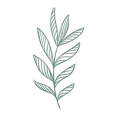 EPS 해외이미지 라인일러스트 일러스트 사람없음 초록색 풀잎 해외일러스트 컬러 잎 풀_식물 파일형식 벡터 이미지허브