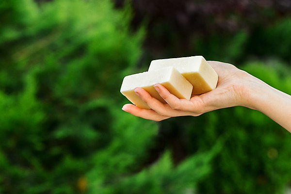 포토 JPG 해외이미지 라이프스타일 손 여자 백그라운드 신체 자연 휴식 건강 사람 사람없음 초록색 뷰티 스파 목욕 화장품 욕실 흰색 신선 바 빨래 상품 허브 피부 에코 친환경 유기농 비누 스킨케어 샴푸 테라피 유지 내추럴 고체 위생관리 핸드메이드 해외포토 식물 웰빙 컬러 컨셉 가사 관리 생활 신체부위 위생용품 환경 청결 생태계 파일형식 이미지허브