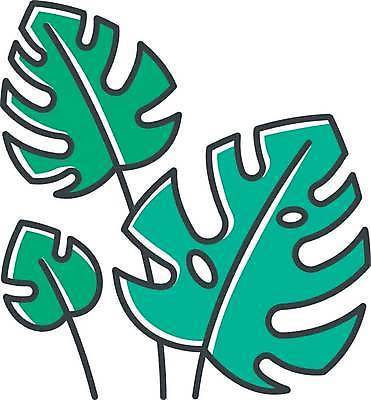 EPS 해외이미지 일러스트 나뭇잎 사람없음 초록색 몬스테라 해외일러스트 식물 컬러 잎 파일형식 벡터 이미지허브