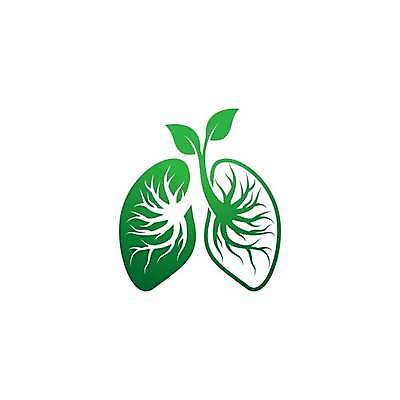 EPS 해외이미지 잎 일러스트 사람없음 초록색 허파 심볼 에코 친환경 뿌리 해외일러스트 식물 컬러 환경 호흡기관 파일형식 벡터 이미지허브