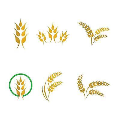 EPS 해외이미지 식물 디자인 배너 음식 빵 백그라운드 농업 다이어트 일러스트 자연 밥 건조 건강 옥수수 씨앗 농작물 농장 노란색 라벨 수확 성장 신선 시장 황금 상품 낟알 시리얼 밀 먹기 심볼 사인 유기농 보리 밀가루 스파이크 내추럴 고립 밭일 엘리먼트 귀리 해외일러스트 웰빙 산업 컬러 모션 곡류 프레임 가루 생태계 파일형식 벡터 이미지허브