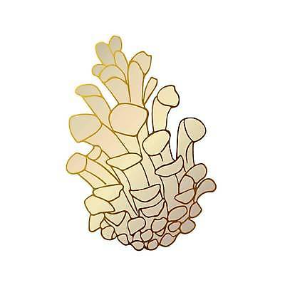 EPS 해외이미지 나무 식물 손 디자인 계절 실루엣 백그라운드 잎 크리스마스 겨울 꽃무늬 일러스트 자연 추상 휴가 미술 씨앗 그래픽 장식 갈색 수확 흰색 나뭇가지 소나무 황금 숲 스케치 심볼 오브젝트 그림 질감 복고 상록수 침엽수 전나무 내추럴 고립 삼나무 엘리먼트 가문비나무 해외일러스트 기념일 꽃 컬러 무늬 농업 문화예술 촬영기법 신체부위 생태계 파일형식 벡터 이미지허브