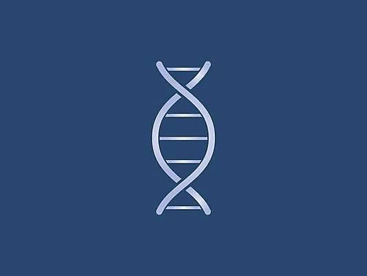 EPS 해외이미지 모양 모델 디자인 과학 컨셉 곡선 일러스트 자연 추상 나선형 건강 사람 그래픽 빛 약 검은색 흰색 원형 진화 암호 DNA 생명공학 심볼 생물학 정사각형 심플 염색체 고립 돌봄 복제 엘리먼트 유전 해외일러스트 도형 교육 선 컬러 무늬 의학 모션 소방 생태계 파일형식 벡터 이미지허브