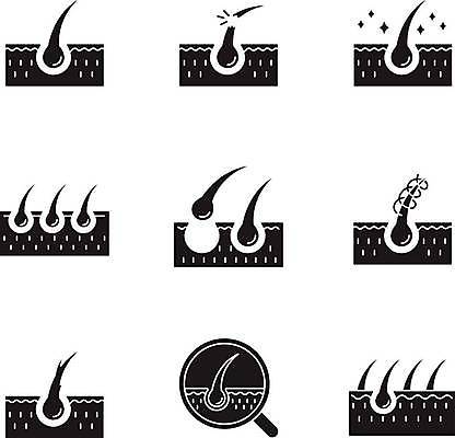 EPS 해외이미지 디자인 실루엣 컨셉 일러스트 해부 세포 건강 치료 세트 픽토그램 검은색 웹 손상 조직 플랫 수집 가득함 심볼 피부 심플 뿌리 팩 문제 테라피 고립 고체 돌봄 상형문자 엘리먼트 적자 탈모 항목 해로움 활자 해외일러스트 문자 컬러 인터넷 의학 모션 촬영기법 신체부위 뷰티 화장품 증상 활자판 파일형식 벡터 이미지허브