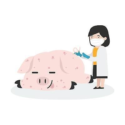 EPS 해외이미지 전신 한마리 여자 일러스트 건강 주사기 마스크 한명 서기 들기 성인 건강관리 돼지 수의사 돌봄 접종 성인여자한명만 아프리카돼지열병 돼지전염병 해외일러스트 1 포유류 의학 의료기기 모션 관리 사람 의사 여자한명만 성인여자만 파일형식 벡터 가축전염병 이미지허브