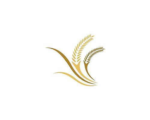 EPS 해외이미지 식물 디자인 배너 음식 빵 백그라운드 농업 다이어트 일러스트 자연 밥 건조 건강 옥수수 씨앗 농작물 농장 노란색 라벨 수확 성장 흰색 신선 시장 황금 상품 낟알 시리얼 밀 먹기 심볼 사인 유기농 보리 귀 밀가루 스파이크 내추럴 고립 밭일 엘리먼트 귀리 해외일러스트 웰빙 산업 컬러 모션 곡류 프레임 신체부위 가루 생태계 파일형식 벡터 이미지허브