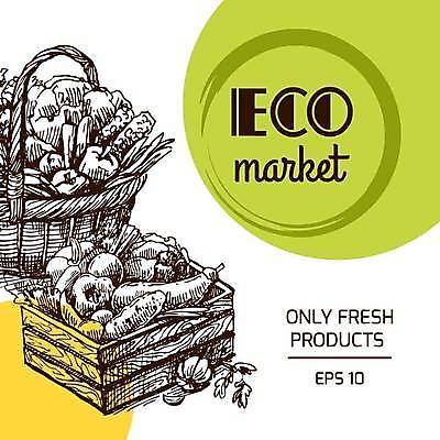 EPS 해외이미지 채소 일러스트 사람없음 바구니 나무상자 스케치 유기농 해외일러스트 웰빙 미술 상자 파일형식 벡터 이미지허브