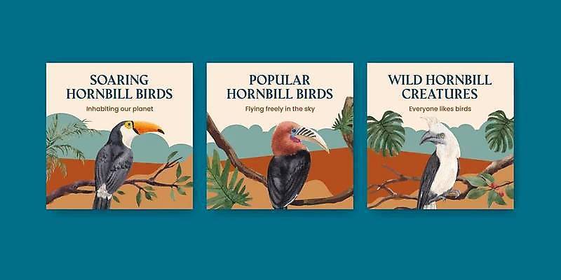 EPS 해외이미지 나무 동물 배너 아시아 야생동물 일러스트 태국 조류 수채화 생물 종류 검은색 축제 숲 큼 열대우림 깃털 그림 부리 코뿔소 마케팅 해외일러스트 식물 나라 컬러 포유류 크기 파일형식 벡터 이미지허브