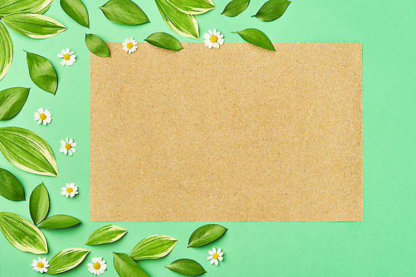 포토 JPG 스튜디오촬영 꽃 잎 프레임 실내 사람없음 하이앵글 자연보호 그린캠페인 오브젝트 친환경 에코라이프 카피스페이스 세계환경의날 초록배경 국내포토 식물 라이프스타일 캠페인 뷰포인트 백그라운드 자연 내부 초록색 환경 공백 보호 에코 파일형식 법정기념일