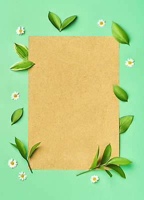 포토 JPG 스튜디오촬영 꽃 잎 프레임 실내 사람없음 하이앵글 자연보호 그린캠페인 오브젝트 친환경 에코라이프 카피스페이스 세계환경의날 초록배경 국내포토 식물 라이프스타일 캠페인 뷰포인트 백그라운드 자연 내부 초록색 환경 공백 보호 에코 파일형식 법정기념일