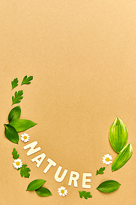 포토 JPG 스튜디오촬영 영어 꽃 잎 실내 사람없음 하이앵글 자연보호 그린캠페인 오브젝트 친환경 에코라이프 내추럴 카피스페이스 세계환경의날 갈색배경 국내포토 식물 문자 라이프스타일 캠페인 뷰포인트 백그라운드 자연 내부 갈색 환경 공백 보호 에코 파일형식 법정기념일