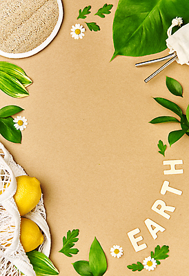 포토 JPG 스튜디오촬영 꽃 잎 프레임 실내 사람없음 하이앵글 자연보호 그린캠페인 주머니 레몬 장바구니 오브젝트 친환경 에코라이프 친환경제품 카피스페이스 세계환경의날 갈색배경 제로웨이스트 스테인레스빨대 네트백 국내포토 식물 라이프스타일 캠페인 뷰포인트 백그라운드 가방 과일 자연 빨대 내부 쇼핑 갈색 바구니 환경 공백 보호 사회이슈 에코 파일형식 법정기념일