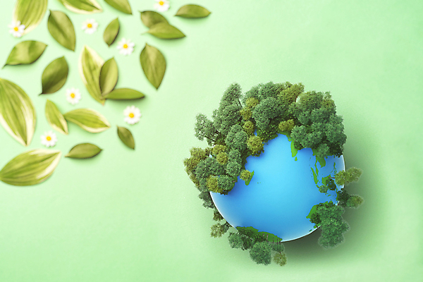 포토 JPG 스튜디오촬영 나무 꽃 지구 잎 실내 사람없음 하이앵글 자연보호 그린캠페인 오브젝트 친환경 에코라이프 세계환경의날 초록배경 국내포토 식물 라이프스타일 캠페인 뷰포인트 백그라운드 자연 내부 초록색 환경 보호 에코 파일형식 법정기념일