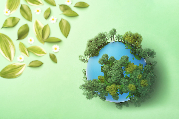 포토 JPG 스튜디오촬영 나무 꽃 지구 잎 실내 사람없음 하이앵글 자연보호 그린캠페인 오브젝트 친환경 에코라이프 세계환경의날 국내포토 식물 라이프스타일 캠페인 뷰포인트 자연 내부 환경 보호 에코 파일형식 법정기념일