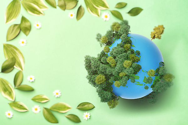 포토 JPG 스튜디오촬영 나무 꽃 지구 잎 실내 사람없음 하이앵글 자연보호 그린캠페인 오브젝트 친환경 에코라이프 카피스페이스 세계환경의날 초록배경 국내포토 식물 라이프스타일 캠페인 뷰포인트 백그라운드 자연 내부 초록색 환경 공백 보호 에코 파일형식 법정기념일