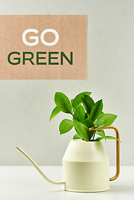 포토 JPG 스튜디오촬영 영어 잎 회색배경 실내 사람없음 자연보호 그린캠페인 물뿌리개 오브젝트 친환경 담기 에코라이프 세계환경의날 국내포토 식물 문자 라이프스타일 캠페인 백그라운드 모션 자연 내부 환경 회색 보호 에코 파일형식 법정기념일