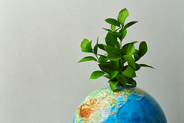 포토 JPG 스튜디오촬영 지구 회색배경 실내 사람없음 지구본 자연보호 그린캠페인 오브젝트 친환경 에코라이프 꽂음 세계환경의날 국내포토 라이프스타일 캠페인 백그라운드 자연 내부 환경 회색 보호 에코 파일형식 법정기념일
