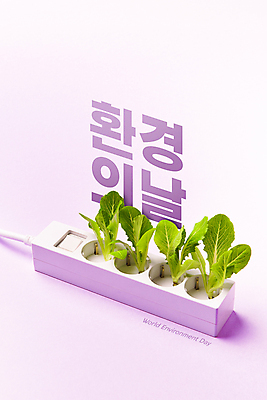 포토 JPG 스튜디오촬영 실내 타이포그라피 사람없음 자연보호 그린캠페인 그린에너지 오브젝트 친환경 에코라이프 꽂음 멀티탭 모종 보라색배경 로메인상추 세계환경의날 국내포토 문자 라이프스타일 캠페인 백그라운드 자연 내부 환경 보라색 에너지 보호 상추 에코 파일형식 법정기념일