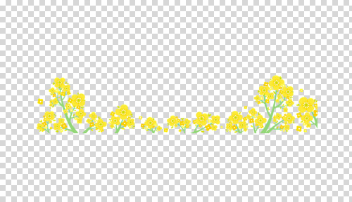 편집 편집이미지 꽃밭 봄꽃 누끼 사람없음 봄 유채 PNG 유채밭 편집소스 계절 꽃 밭 파일형식