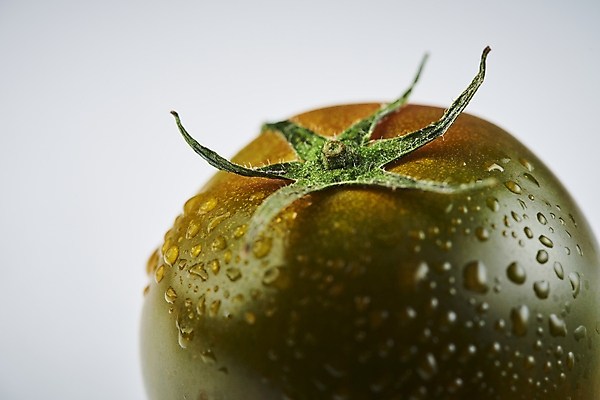 포토 JPG 스튜디오촬영 토마토 실내 근접촬영 사람없음 한개 젖음 물방울 흰배경 제철음식 제철과일 과채 흑토마토 국내포토 1 음식 뷰포인트 백그라운드 채소 과일 내부 흰색 제철 파일형식