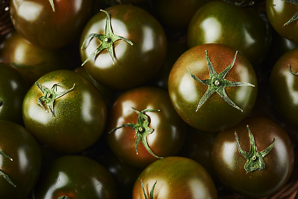 포토 JPG 스튜디오촬영 토마토 실내 근접촬영 사람없음 여러개 가득함 제철음식 제철과일 과채 흑토마토 국내포토 음식 뷰포인트 다수 채소 과일 내부 제철 파일형식