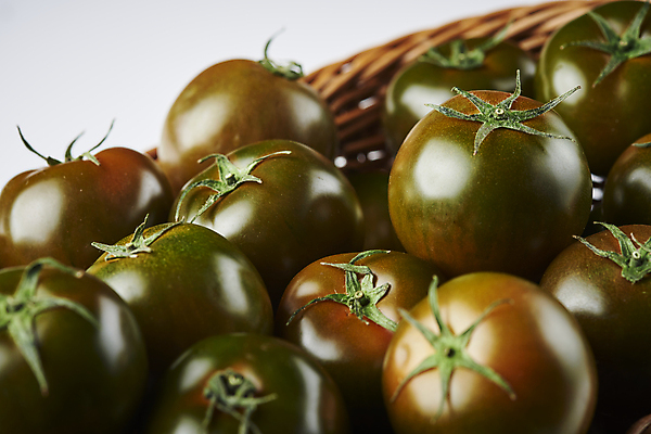 포토 JPG 스튜디오촬영 토마토 실내 근접촬영 사람없음 여러개 가득함 흰배경 담기 제철음식 라탄바구니 제철과일 과채 흑토마토 국내포토 음식 뷰포인트 다수 백그라운드 채소 과일 모션 내부 바구니 흰색 제철 파일형식