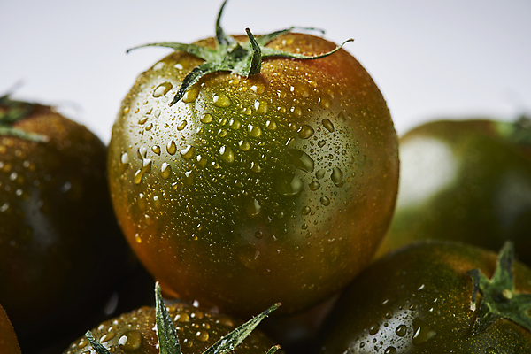 포토 JPG 스튜디오촬영 토마토 실내 근접촬영 사람없음 아웃포커스 젖음 물방울 흰배경 제철음식 제철과일 과채 흑토마토 국내포토 음식 뷰포인트 백그라운드 채소 과일 촬영기법 내부 흰색 제철 파일형식