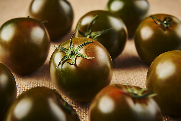 포토 JPG 스튜디오촬영 토마토 실내 사람없음 여러개 삼베 갈색배경 제철음식 제철과일 과채 흑토마토 국내포토 음식 다수 백그라운드 채소 과일 내부 갈색 제철 파일형식 천_직물