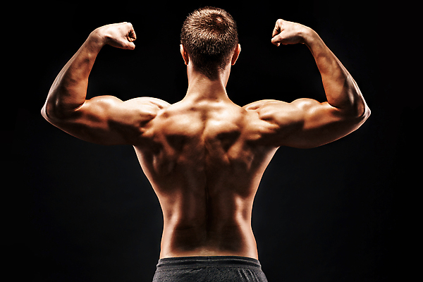 포토 JPG 해외이미지 남자 검은배경 근육 한명 상반신 성인 뒷모습 주먹 보디빌더 근육질 등근육 성인남자한명만 해외포토 1 뷰포인트 백그라운드 모션 사람 검은색 보디빌딩 몸매 남자한명만 성인남자만 파일형식 이미지허브