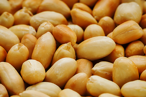 포토 JPG 해외이미지 실내 근접촬영 사람없음 견과류 가득함 유기농 땅콩 해외포토 웰빙 뷰포인트 내부 파일형식 이미지허브