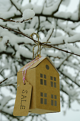 포토 JPG 해외이미지 모델 디자인 종이 백그라운드 컨셉 비즈니스 건축양식 창문 가족 성공 지붕 부동산 새로움 아파트 주택 사람없음 건물 금융 장난감 세일 우주 꿈 미니어처 절약 재산 구매 계획 건축가 중개인 고객 심볼 투자 타운 대출 렌탈 매각 진짜 해외포토 직업 건축물 건축 관계 경제 쇼핑 모형 도시 파일형식 이미지허브