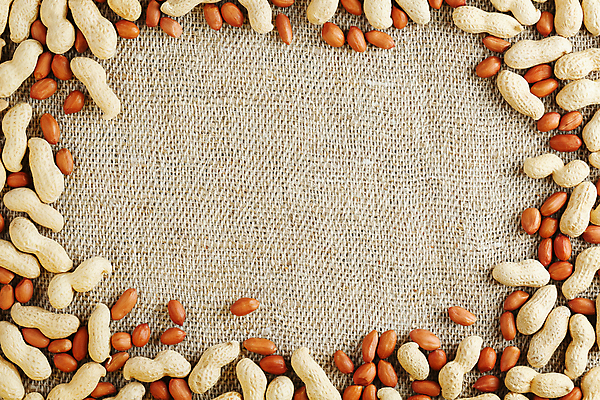 포토 JPG 해외이미지 회색배경 프레임 실내 사람없음 견과류 유기농 땅콩 땅콩껍질 카피스페이스 해외포토 웰빙 백그라운드 내부 공백 회색 껍질 파일형식 이미지허브