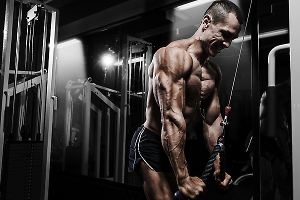 포토 JPG 해외이미지 백인 라이프스타일 웰빙 남자 신체 근육 탈의 건강 한명 서기 사람 인종 성인 가로 빛 뷰티 힘 주먹 구부린 몸무게 허리 근육질 슛 팔 궤 돌봄 복근 유일 해외포토 서양인 1 모션 생활 신체부위 몸매 파일형식 이미지허브