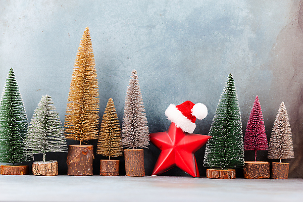 포토 JPG 해외이미지 별 크리스마스 산타모자 회색배경 실내 사람없음 크리스마스트리 미니어처 일렬 미니트리 별모형 별장식 해외포토 자연요소 모자_잡화 기념일 백그라운드 내부 장식 모형 회색 파일형식 이미지허브