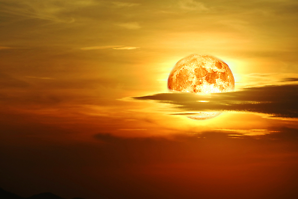 포토 JPG 해외이미지 식물 구름 꽃 실루엣 백그라운드 밭 자연 조류 하늘 딸기 산 어류 사람없음 빨간색 빛 장미 우주 달러 계란 어둠 침묵 수확 껍질 달 나뭇가지 등불 혈액 볏짚 야간 저녁 기아 가득함 보리 코코넛 까마귀 비버 해외포토 자연요소 나무 동물 컬러 돈 농업 과일 조명 곡류 촬영기법 알 수중동물 소리 짚 사회이슈 생태계 파일형식 이미지허브