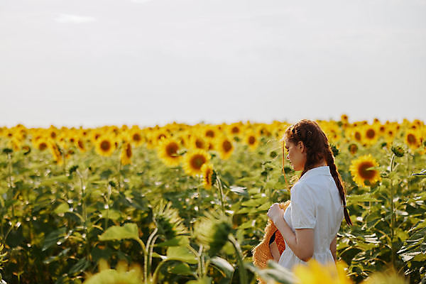 포토 JPG 해외이미지 주간 여자 꽃밭 해바라기 한명 들기 풍경 상반신 성인 야외 옆모습 여름 밀짚모자 성인여자한명만 해외포토 자연요소 모자_잡화 1 계절 꽃 뷰포인트 모션 사람 여자한명만 성인여자만 파일형식 이미지허브