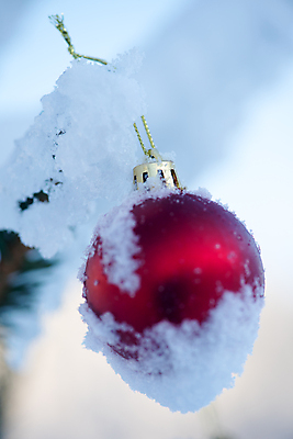 포토 JPG 해외이미지 주간 크리스마스장식 겨울 근접촬영 사람없음 야외 아웃포커스 눈 오너먼트 해외포토 자연요소 계절 뷰포인트 크리스마스 날씨 촬영기법 파일형식 이미지허브