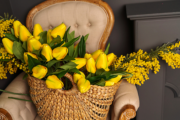 포토 JPG 해외이미지 의자 실내 사람없음 노란색 바구니 튤립 해외포토 꽃 컬러 가구 내부 파일형식 이미지허브