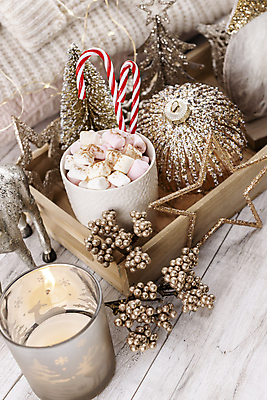 포토 JPG 해외이미지 계절 행복 커피 음료 음식 백그라운드 컨셉 크리스마스 지팡이 휴가 새해 주택 따뜻함 사탕 사람없음 장식 컵 쿠키 얼음 축제 침묵 머그컵 추위 하트 12월 카푸치노 마시멜로우 핸드메이드 안락 해외포토 자연요소 모양 식기 기념일 감정 디저트 건물 소리 날짜 파일형식 이미지허브